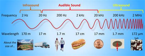 Audio vs Acoustic .